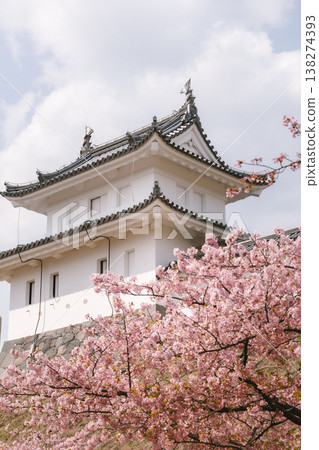 櫻花與日本城堡:春花與傳統建築的交相輝映 櫻花與日本城堡:春花與傳統建築的交相輝映 138274393
