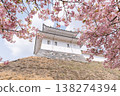 Cherry blossoms and Japanese castles: Scenes of spring flowers and traditional architecture 138274394