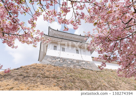 櫻花與日本城堡:春花與傳統建築的交相輝映 櫻花與日本城堡:春花與傳統建築的交相輝映 138274394
