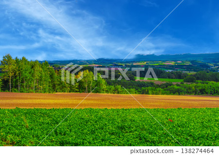 Rural landscape Rural landscape 138274464