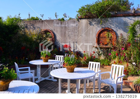 A garden 138275019