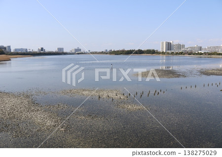 Yatsu Tidal Flat, located in Narashino City, Chiba Prefecture. Yatsu Tidal Flat, located in Narashino City, Chiba Prefecture. 138275029