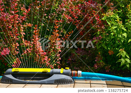 Gardening.Sprinkler watering flowers on hot day,Irrigation system Gardening.Sprinkler watering flowers on hot day,Irrigation system 138275724