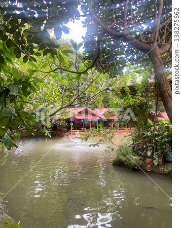 pond in the park 138275862