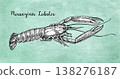 Norwegian lobster ink sketch.  138276187