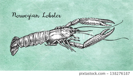 Norwegian lobster ink sketch.  138276187