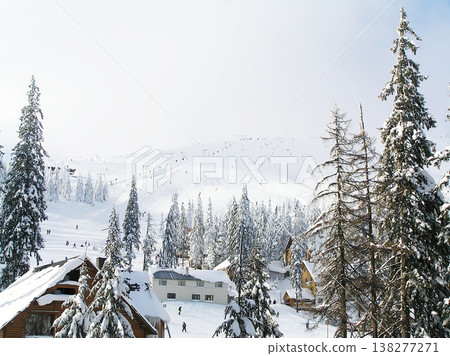 A winter fairy tale in a snowy forest: the trees are covered in a thick layer of fluffy white snow, A winter fairy tale in a snowy forest: the trees are covered in a thick layer of fluffy white snow, 138277271