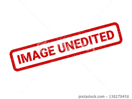 Red distressed rubber stamp showing words image unedited within a rectangular frame, indicating original file status 138278458
