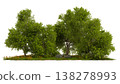 green tree group featuring a natural stone 138278993