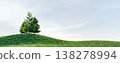 pine tree on green grassy hill 138278994
