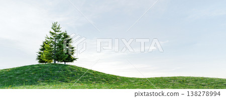pine tree on green grassy hill pine tree on green grassy hill 138278994