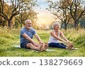 Happy senior couple stretching on yoga mats in a lush green park 138279669