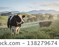 Black and white dairy cow in a tranquil rural pasture 138279674