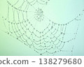 Pristine dew drops on a spiderweb sparkling like crystals 138279680