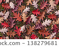 Freshly fallen red and brown oak leaves creating autumn pattern 138279681