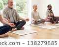 Diverse elderly individuals meditating calmly on mats in a bright studio 138279685