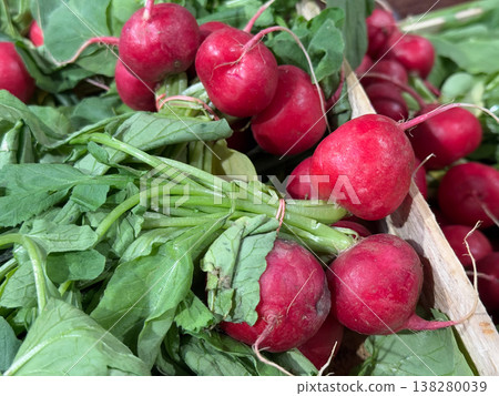 Close up radish bundle with leaves in crate showing texture and natural imperfections. Farm produce, organic farming, healthy diet ingredient, market retail and seasonal vegetable selection 138280039