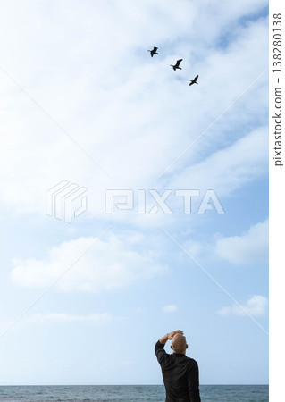 A man on the seashore watches birds fly away A man on the seashore watches birds fly away 138280138