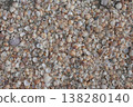 There are many beautiful shells on the seashore. 138280140