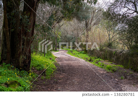 Dirt road winding through a rural landscape with a wind turbine under a cloudy sky Dirt road winding through a rural landscape with a wind turbine under a cloudy sky 138280781