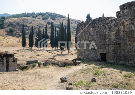 Exploring the Ancient Ruins of Pamukkale Near Picturesque Cypress Trees Under the Serene Blue Sky Exploring the Ancient Ruins of Pamukkale Near Picturesque Cypress Trees Under the Serene Blue Sky 138281089