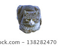 Gray white domestic cat resting symmetrical posture with intense gaze 138282470