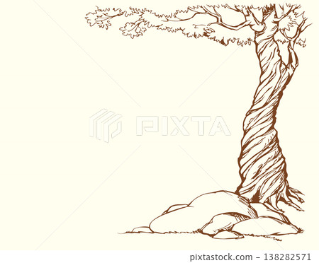 Vector background. Frame from tree Vector background. Frame from tree 138282571