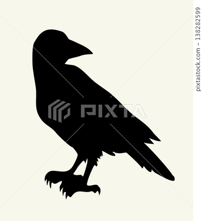Vector drawing. Old big crow 138282599