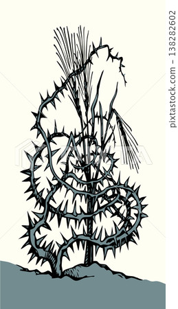 Vector drawing. Wheat in the thorns Vector drawing. Wheat in the thorns 138282602