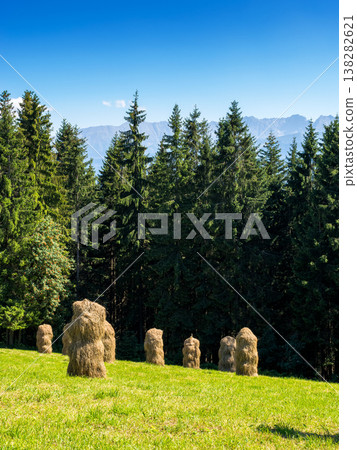 rural landscape in mountains of poland. dry haystack on the meadow near the forest. rustic countryside scenery of zakopane on a bright summer day. lush green grass rural landscape in mountains of poland. dry haystack on the meadow near the forest. rustic countryside scenery of zakopane on a bright summer day. lush green grass 138282621