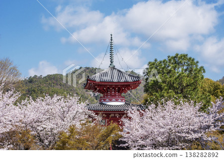 Daikaku-ji Temple's Osawa Pond in bloom with cherry blossoms: A beautiful scene of the pagoda and cherry blossoms - a popular spring tourist spot in Kyoto - a famous cherry blossom viewing spot in Kyoto Daikaku-ji Temple's Osawa Pond in bloom with cherry blossoms: A beautiful scene of the pagoda and cherry blossoms - a popular spring tourist spot in Kyoto - a famous cherry blossom viewing spot in Kyoto 138282892