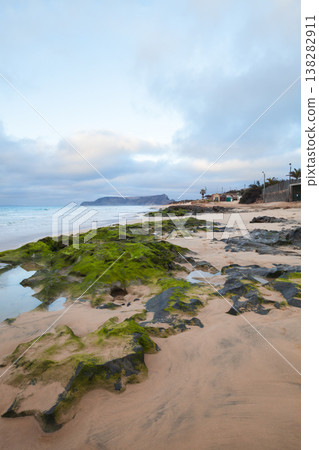 Moss-covered rocks and tidal pools lead to a calm sandy shoreline at dawn Moss-covered rocks and tidal pools lead to a calm sandy shoreline at dawn 138282911