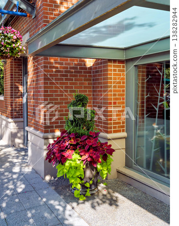Big flower pod on a street in front of show window of a store 138282944
