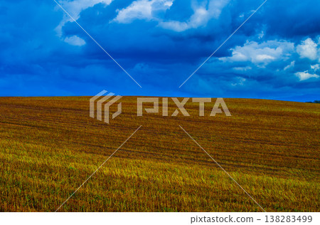 Tahara in late autumn 138283499