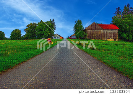 一片牧場和一間紅色小屋 138283504