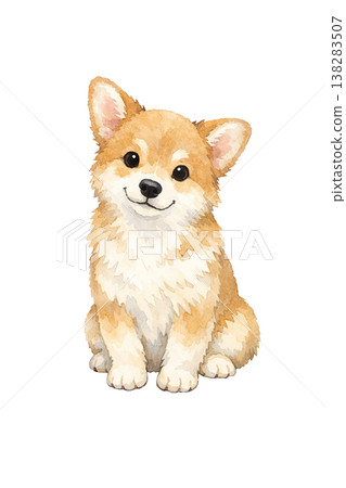 柴犬水彩插畫，坐姿，正面，可愛的狗狗單幅圖。 138283507