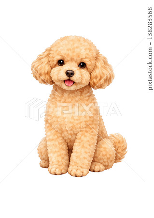 水彩風格的玩具貴賓犬插畫，狗狗坐著，面向前方。可愛的單隻狗圖片。 138283568