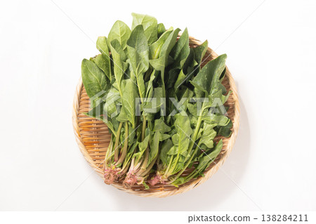 (Produced in Tendo City, Yamagata Prefecture) Red-rooted spinach (a traditional Yamagata vegetable) (Produced in Tendo City, Yamagata Prefecture) Red-rooted spinach (a traditional Yamagata vegetable) 138284211