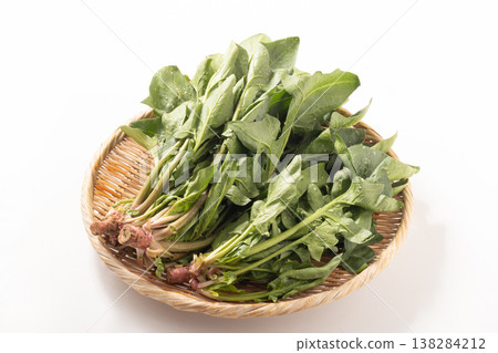(Produced in Tendo City, Yamagata Prefecture) Red-rooted spinach (a traditional Yamagata vegetable) (Produced in Tendo City, Yamagata Prefecture) Red-rooted spinach (a traditional Yamagata vegetable) 138284212
