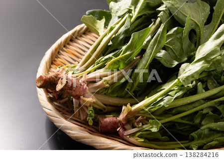 (Produced in Tendo City, Yamagata Prefecture) Red-rooted spinach (a traditional Yamagata vegetable) (Produced in Tendo City, Yamagata Prefecture) Red-rooted spinach (a traditional Yamagata vegetable) 138284216
