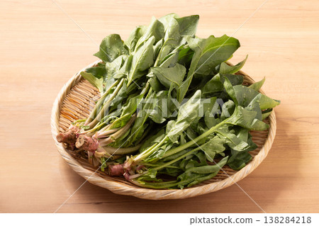 (Produced in Tendo City, Yamagata Prefecture) Red-rooted spinach (a traditional Yamagata vegetable) (Produced in Tendo City, Yamagata Prefecture) Red-rooted spinach (a traditional Yamagata vegetable) 138284218