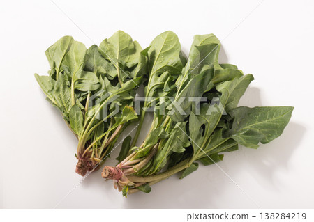 (Produced in Tendo City, Yamagata Prefecture) Red-rooted spinach (a traditional Yamagata vegetable) 138284219