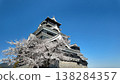 Cherry blossoms in full bloom and Kumamoto Castle 138284357