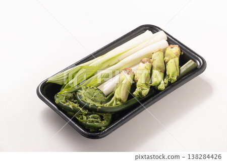 [Yamagata Prefecture] Green fiddlehead ferns, angelica tree sprouts, and hosta shoots 138284426