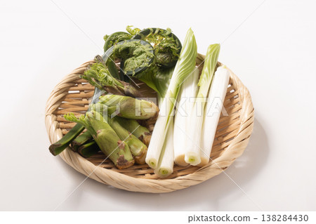 [Yamagata Prefecture] Green fiddlehead ferns, angelica tree sprouts, and hosta shoots 138284430