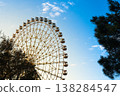 Giant observation wheel at an amusement park with sunset light and soft clouds 138284547