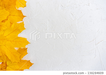 Autumn leaves frame on white background top view Autumn leaves frame on white background top view 138284609