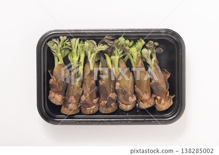 [Yamagata Prefecture] Aralia sprouts 138285002