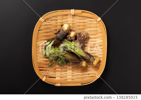 [Yamagata Prefecture] Aralia sprouts 138285015