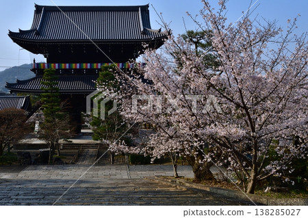 Kyoto, Konkai-Komyoji Temple, stone steps, cherry blossoms, full bloom, flowers, spring, temples and shrines Kyoto, Konkai-Komyoji Temple, stone steps, cherry blossoms, full bloom, flowers, spring, temples and shrines 138285027